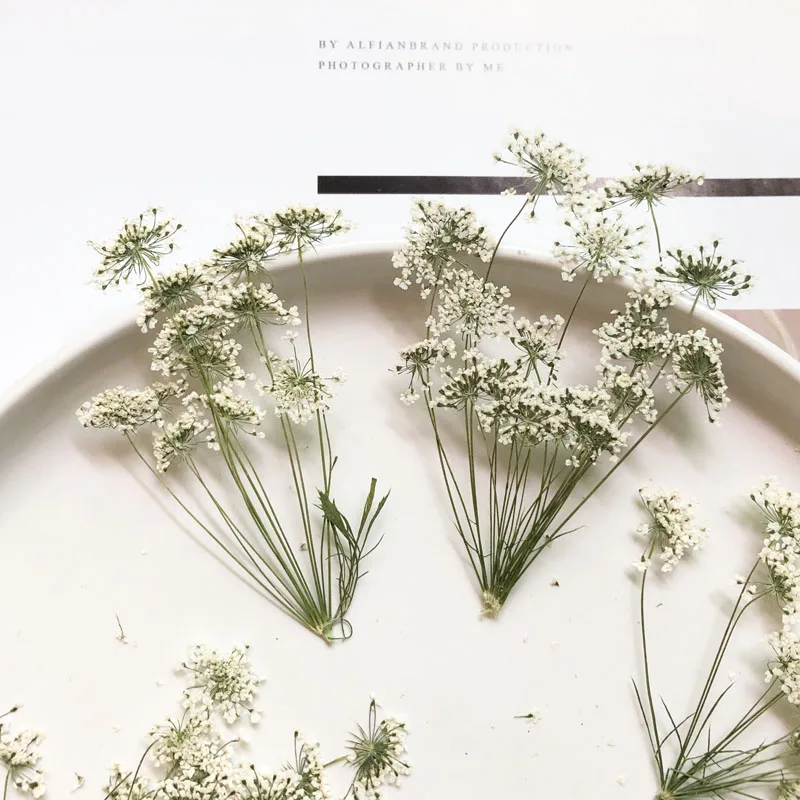 Craft Embellishment - 5–7 cm/12 Stück, kleine Schneeblumen mit