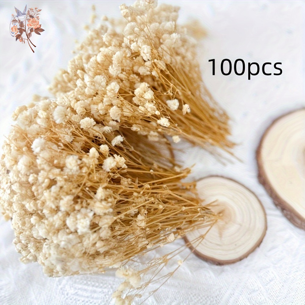 100 Stück Mini Getrocknete Sch – Craft Embellishment Bewertung und Preis