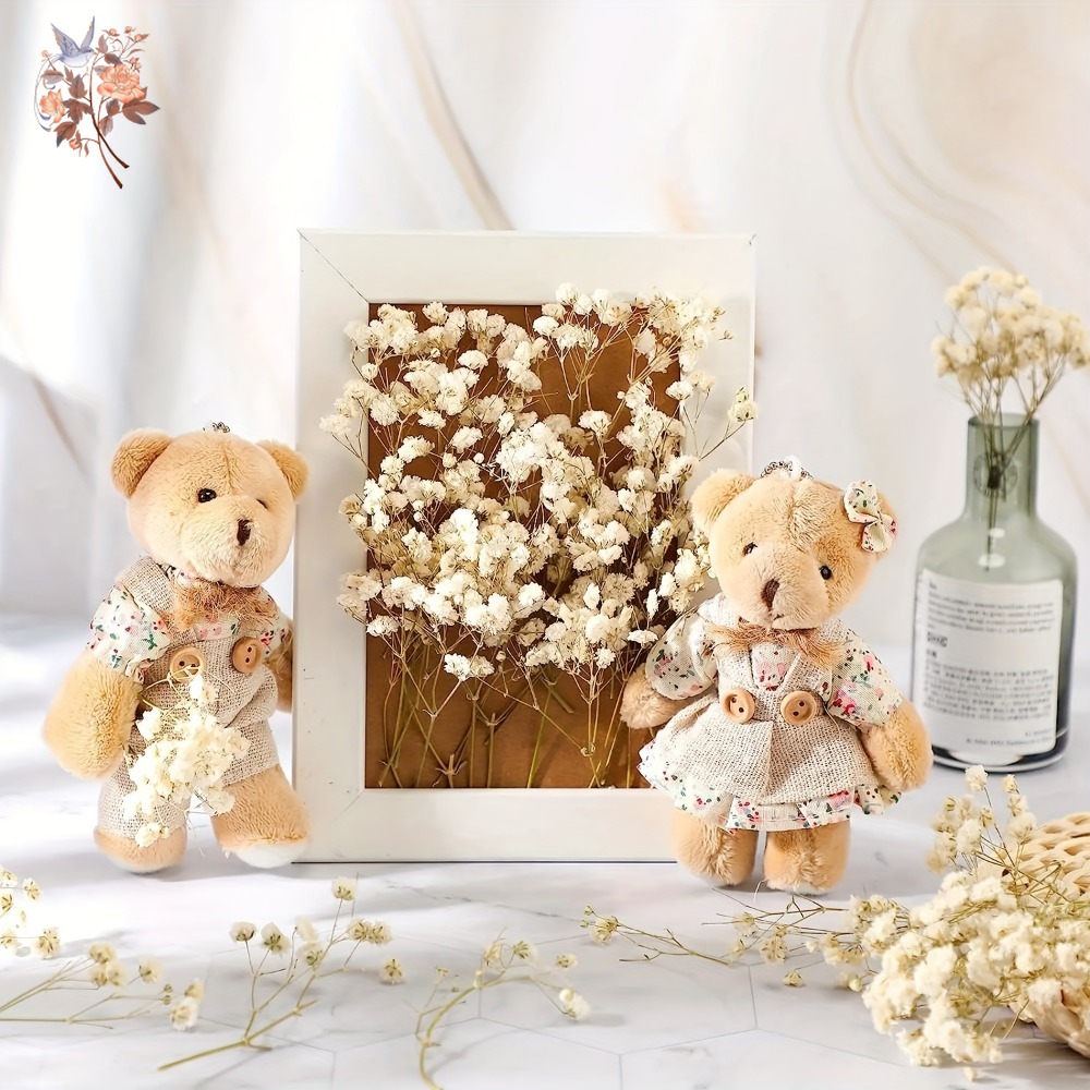 100 Stück Mini Getrocknete Sch – Craft Embellishment Bewertung und Preis